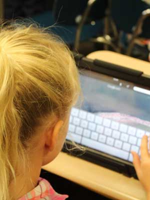 网页版手机号攻击